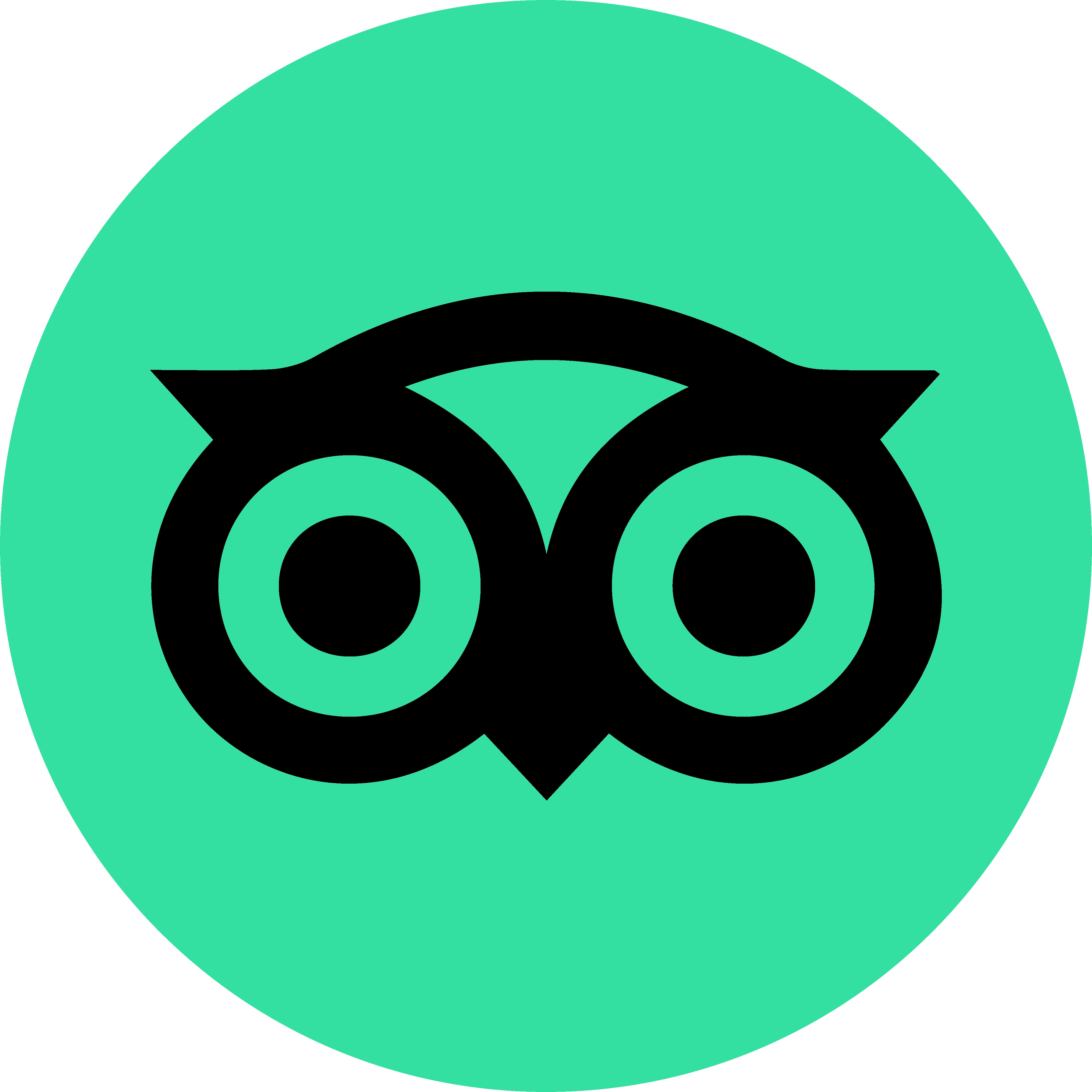 TripAdvisor Icon